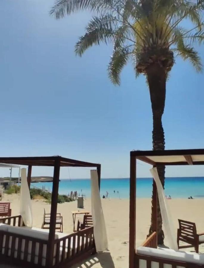 Nissi Golden Sands Sea View 2 Bedroom Apartment Ajia Napa Zewnętrze zdjęcie
